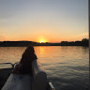 Meet your Posher, Amelia